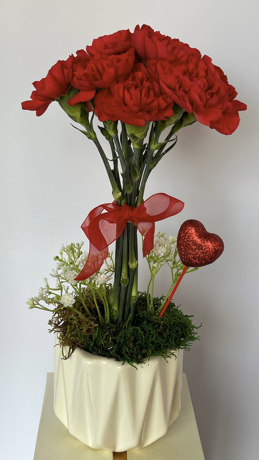 Red carnation topiary