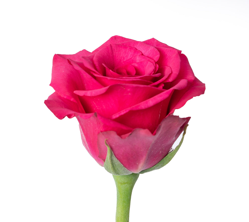 3-Rose Bud Vase