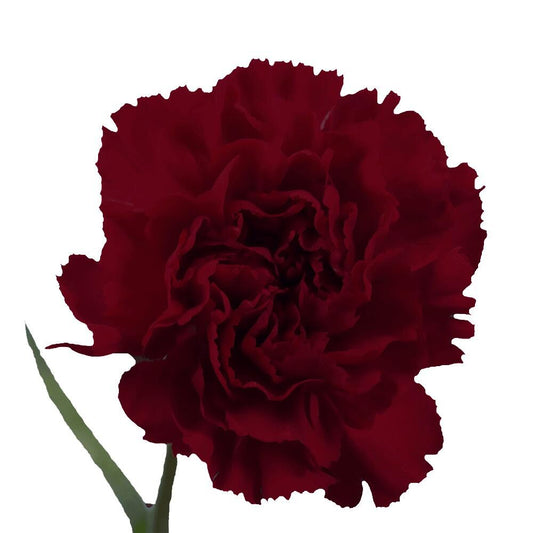 3-Carnation Bud Vase